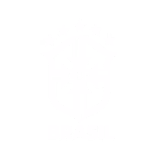 Confederação Brasileira de Futebol 