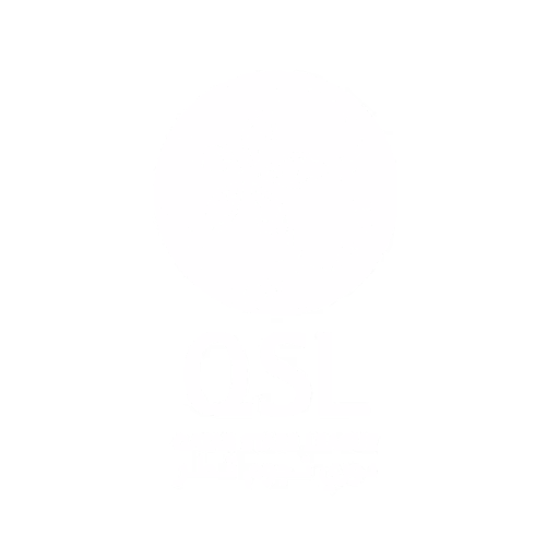 Qatar Stars League