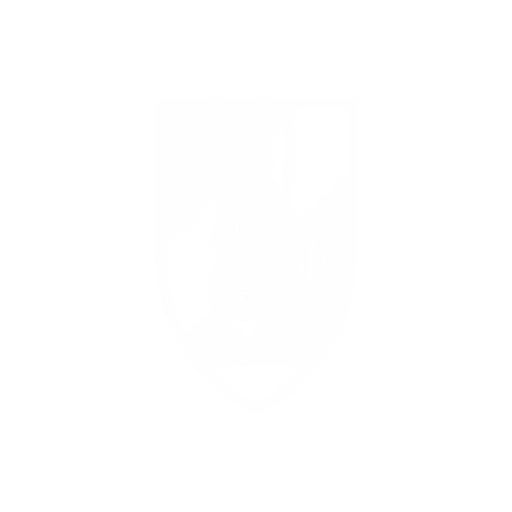 Vitória SC