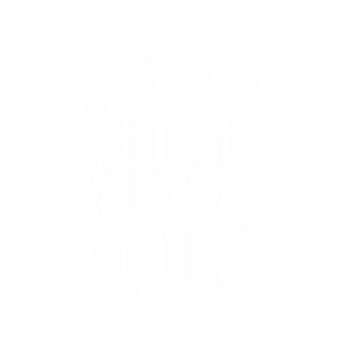 Italian Football Federation (FIGC)