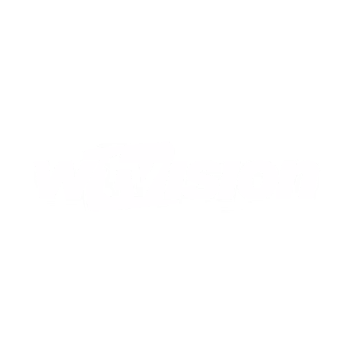 wTVision