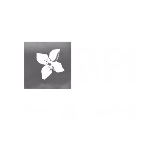Banco BPI