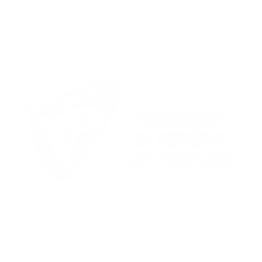 Federação de Andebol de Portugal