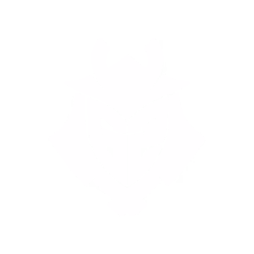 G2 ESports